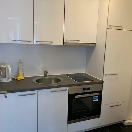 Downtown Boardinghouse Apartment